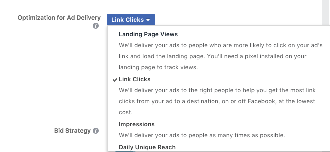 Screenshot Facebook Ads Manager ad delivery options